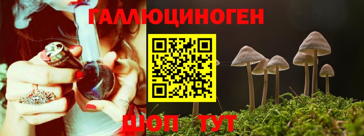 Галлюциногенные грибы мицелий  Галлюциногенные грибы прущие грибы  Касимов  как найти   Вход с VPN 
